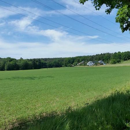 Ferienwohnung "Am Weinberg" Bad Schmiedeberg Eksteriør bilde