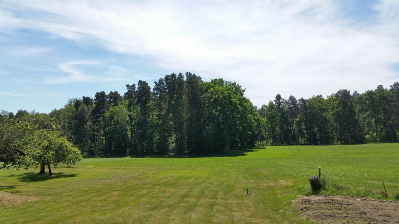 Ferienwohnung "Am Weinberg" Bad Schmiedeberg Eksteriør bilde